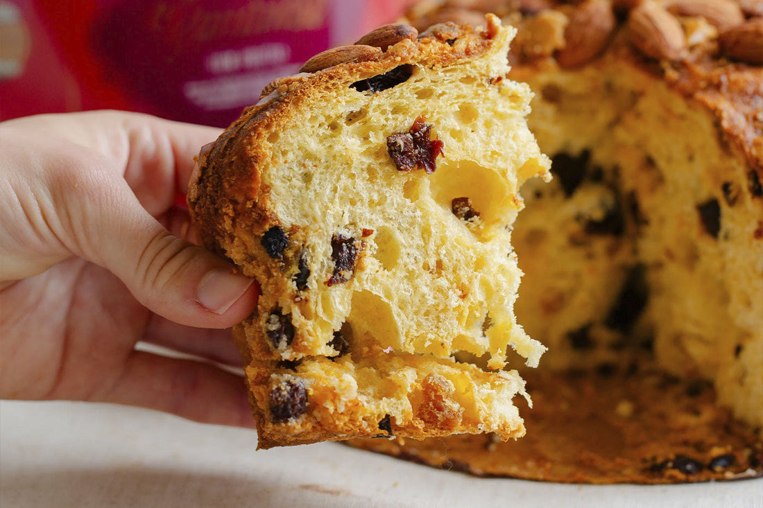 Qual o melhor panetone? Um guia para acertar na escolha