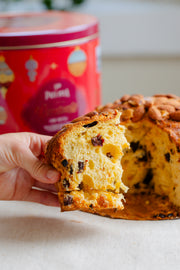 Panettone Frutas - Crosta de Amêndoas na Lata - 900g