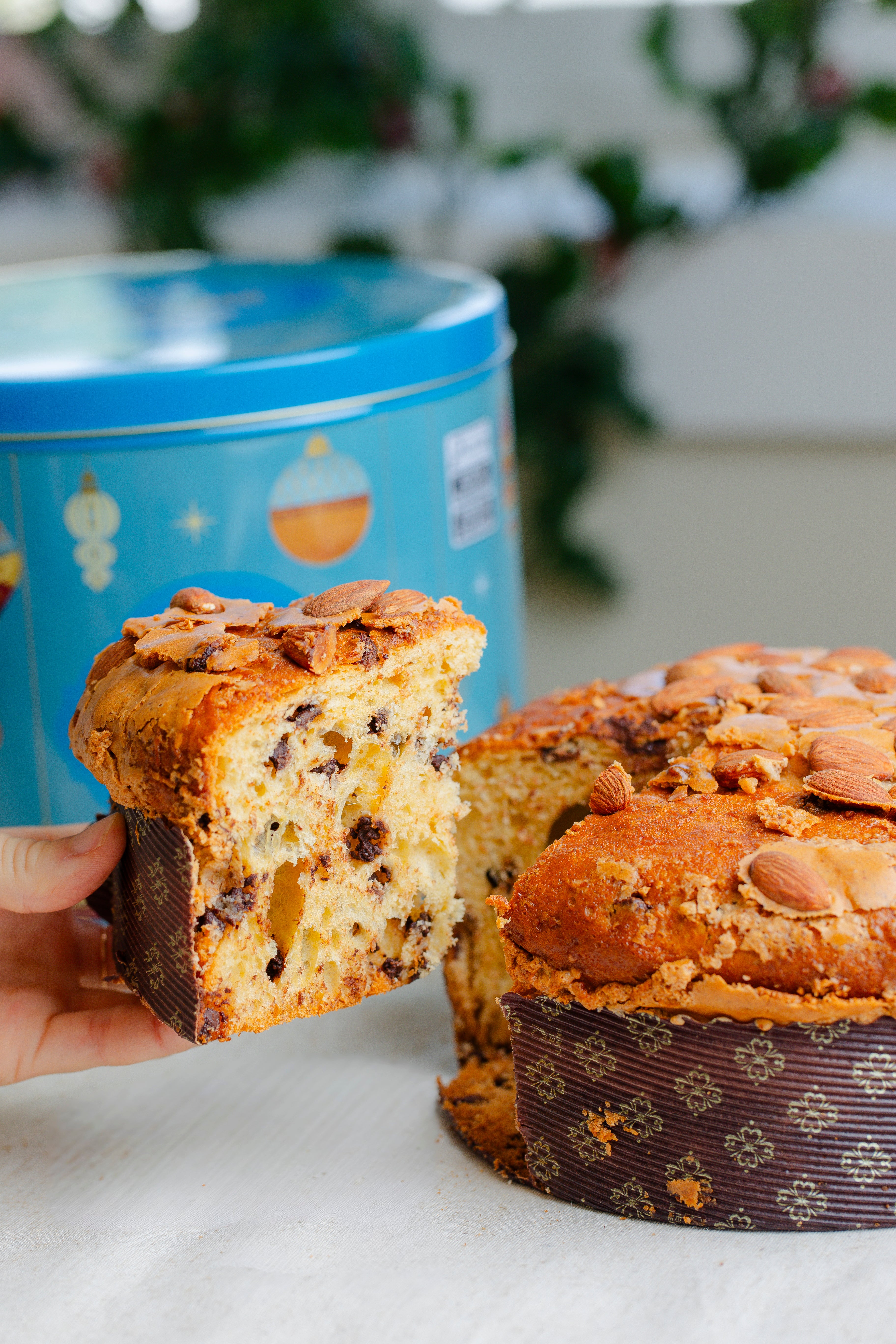 Panettone - Gotas de Chocolate 900g