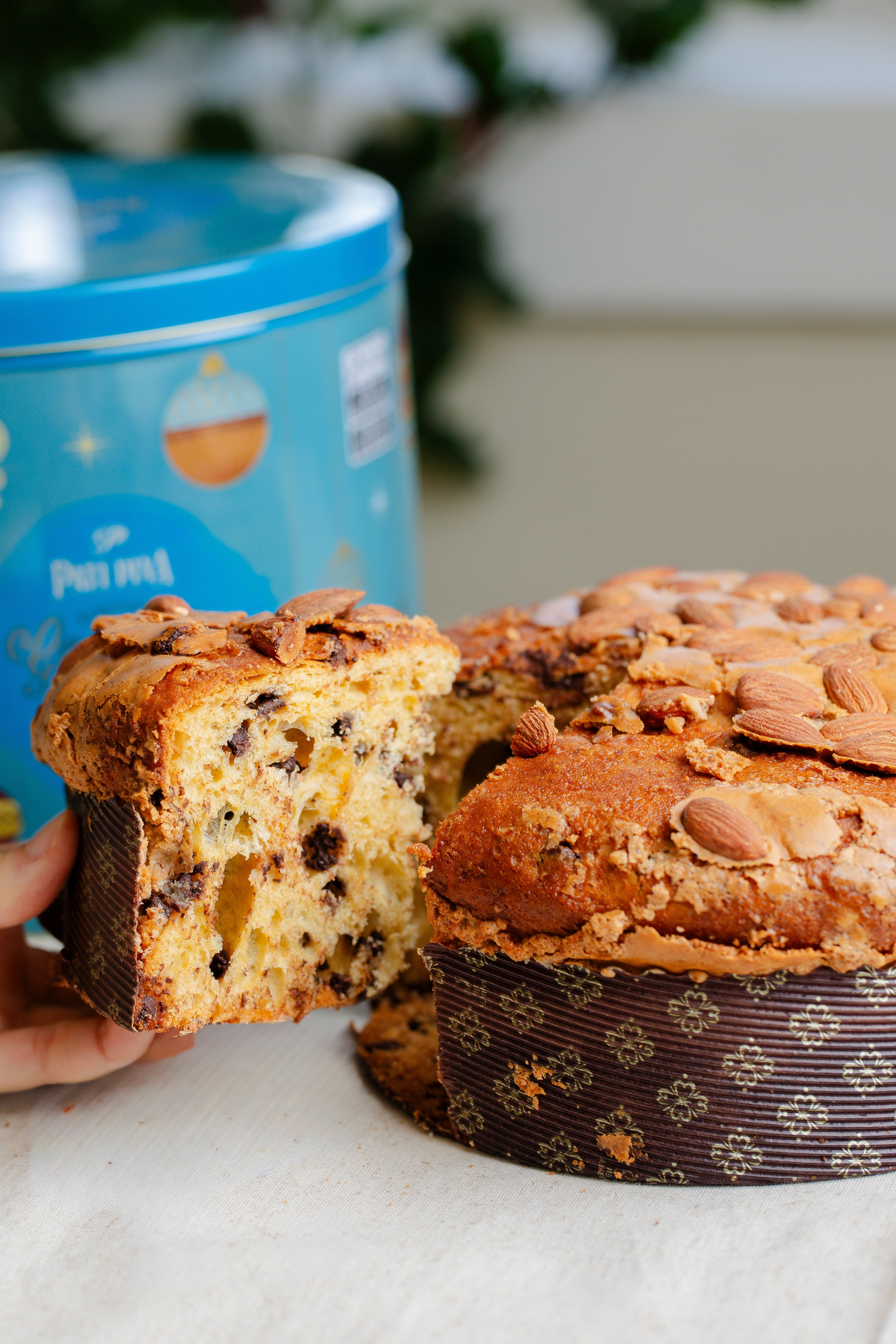 Panettone - Gotas de Chocolate 900g