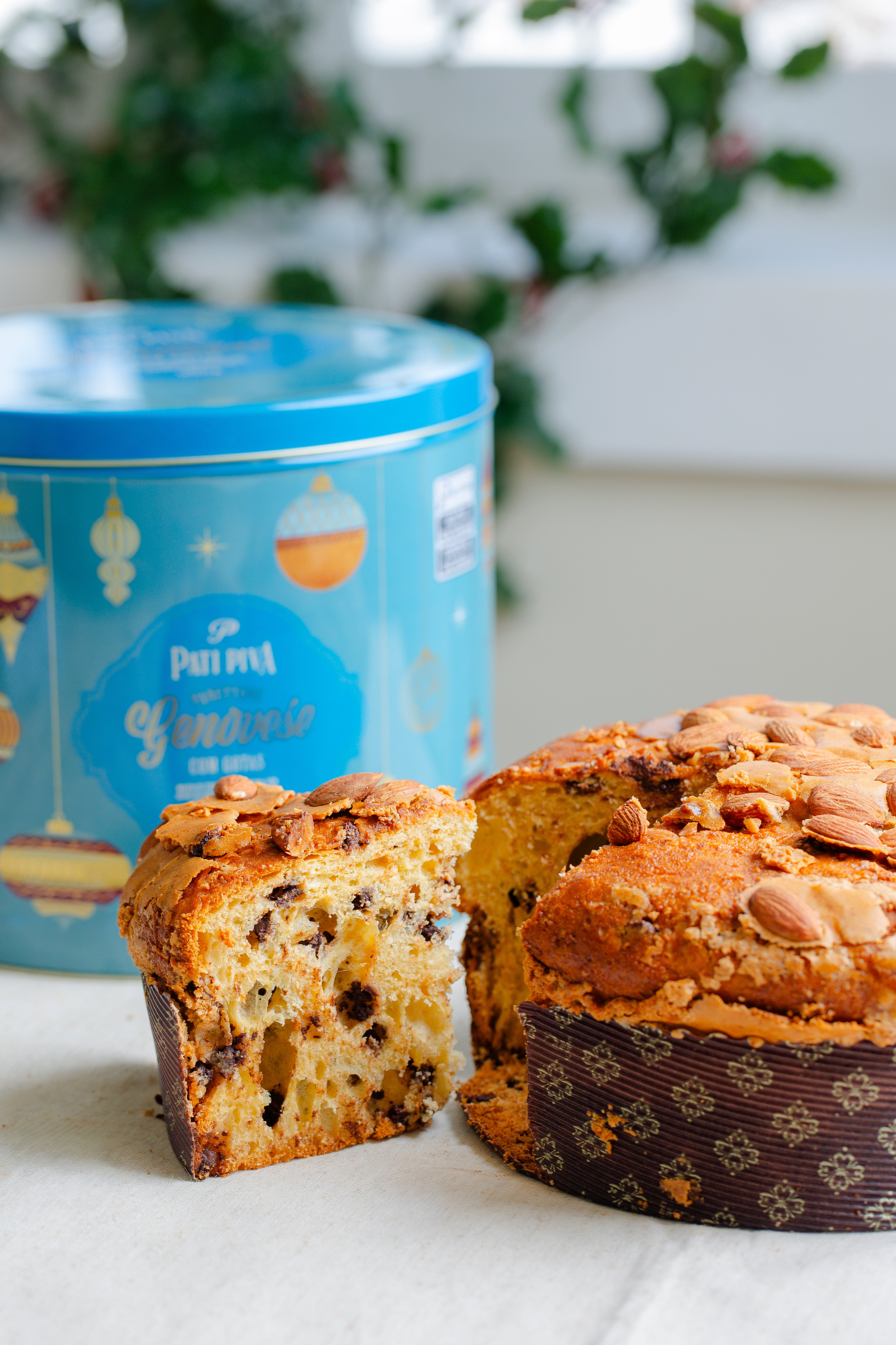 Panettone - Gotas de Chocolate 900g
