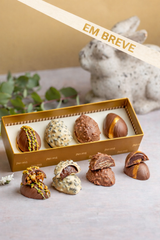 Caixa Degustação - Best Sellers