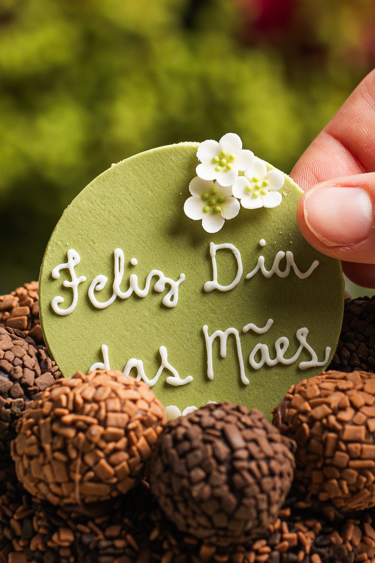 Plaquinha Feliz Dia das Mães