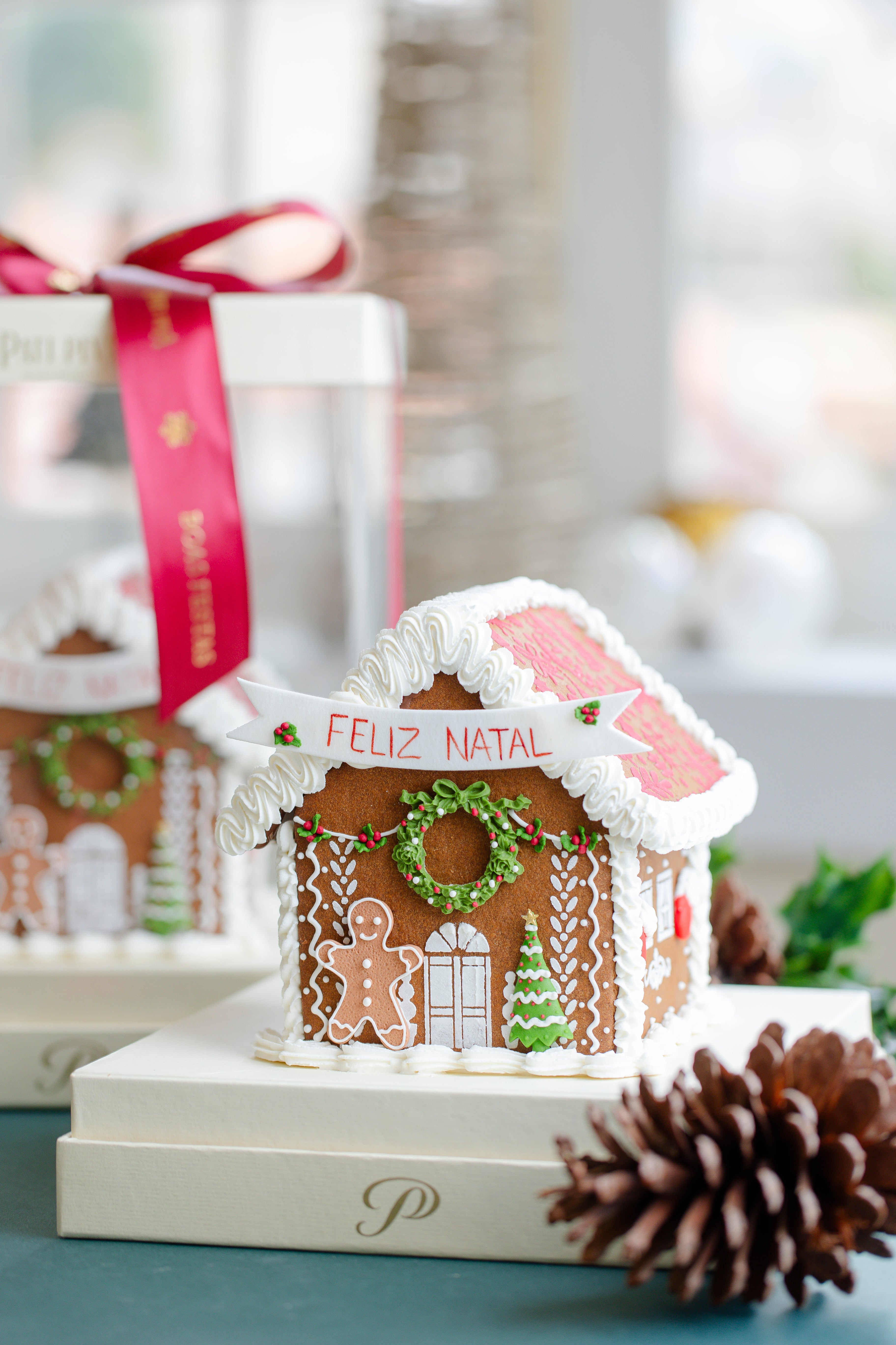 Casinha de Biscoitos - Gingerbreads