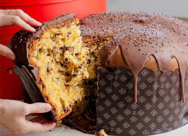 Panettone Gotas Gigante - Coberto com Chocolate