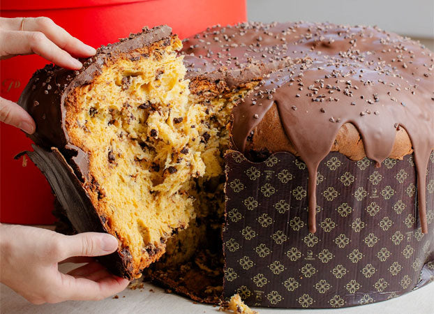Panettone Gotas Gigante - Coberto com Chocolate