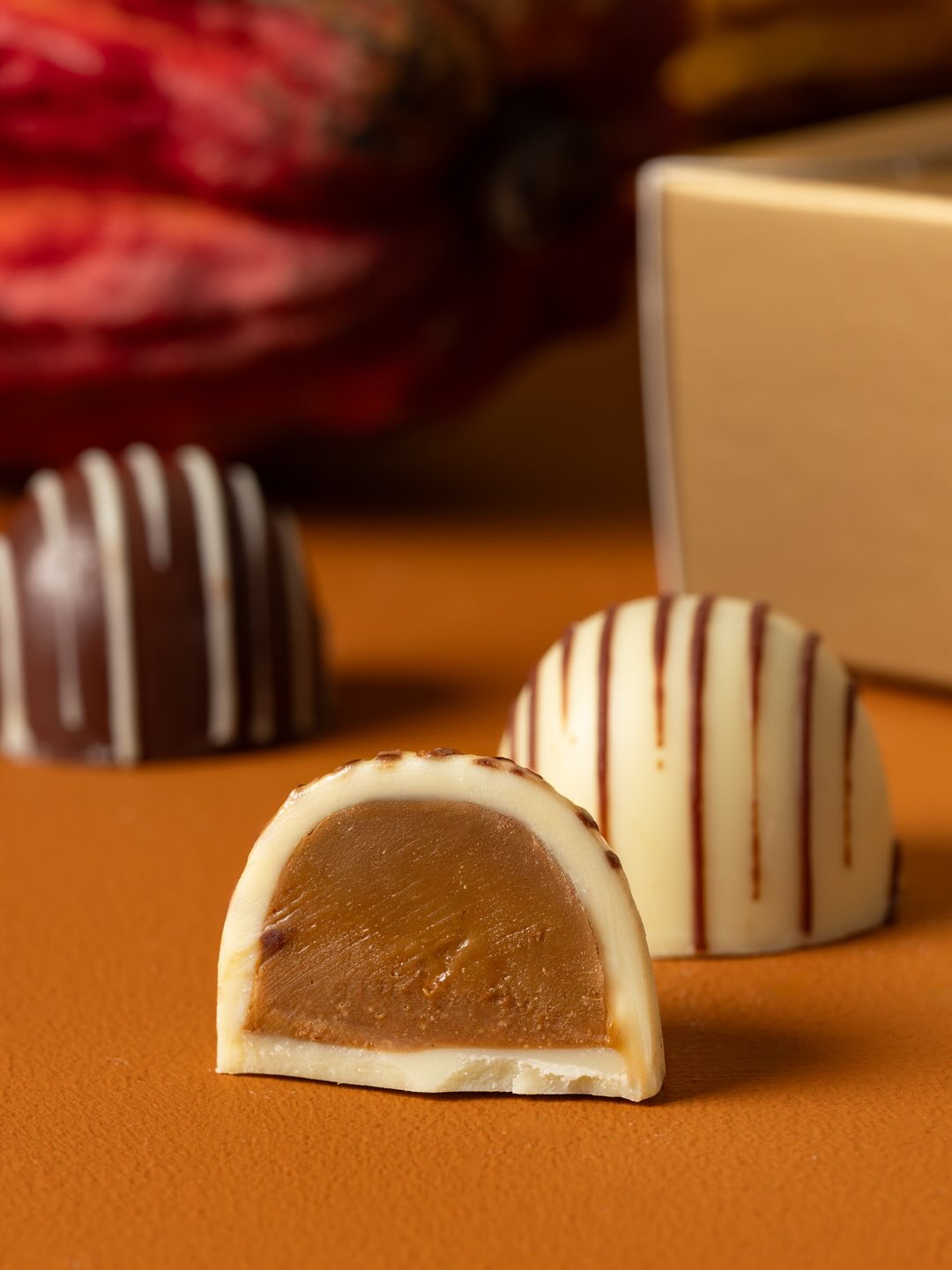 Chocolate tree to bar