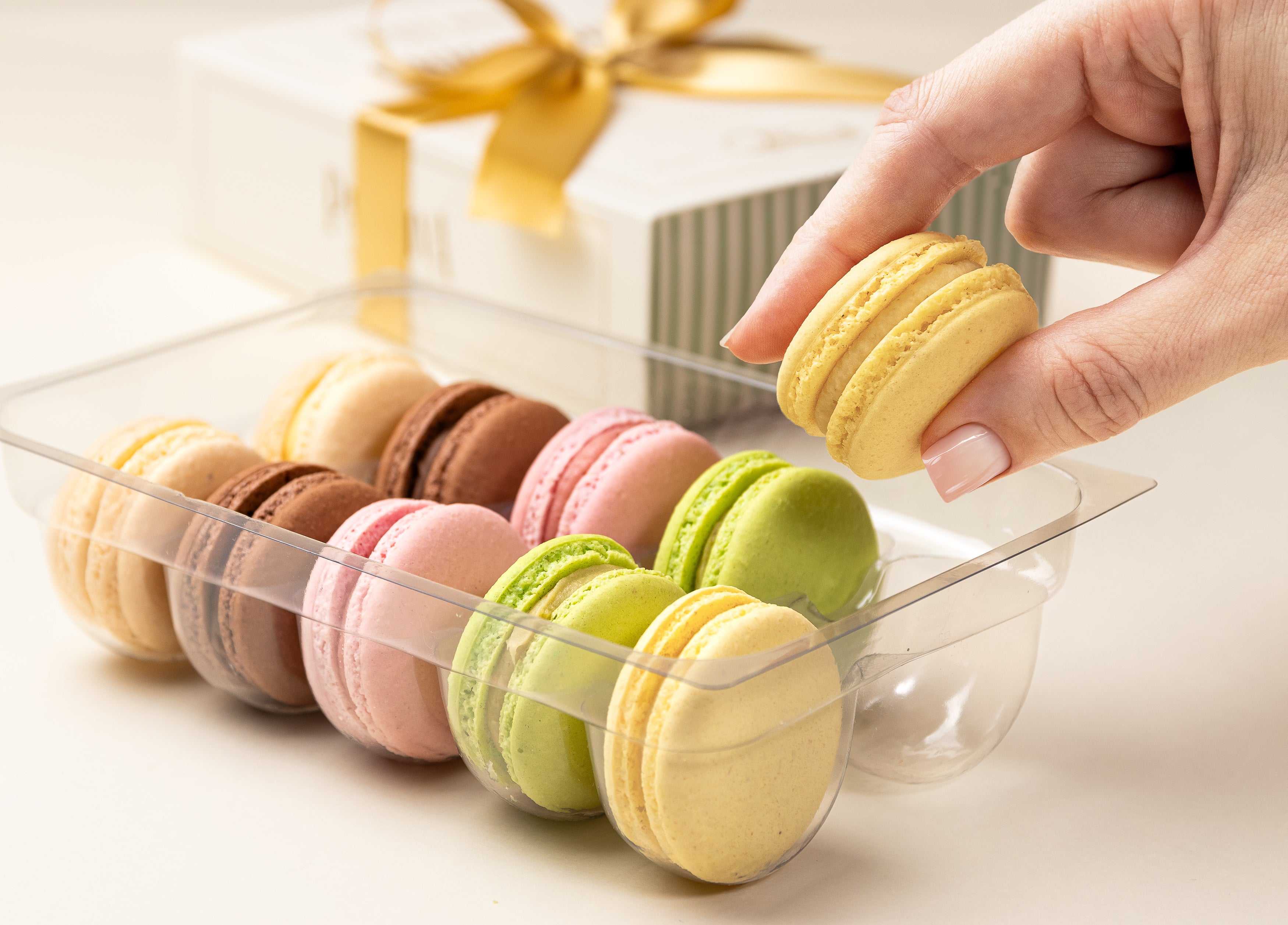 Macarons Sortidos - Caixa com 10 unidades