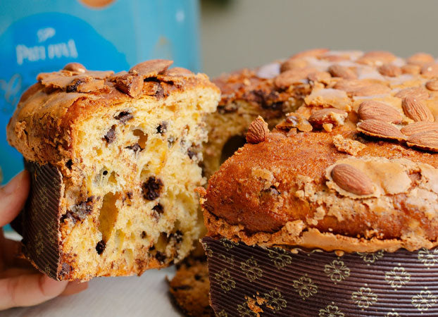 Panettone - Gotas de Chocolate 900g